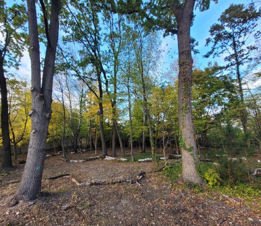 Teren zielony przy ul. Poniatowskiego w Piasecznie