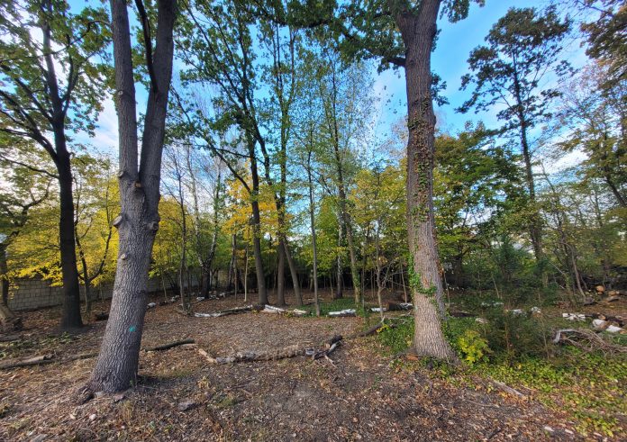 Park przy ul. Poniatowskiego w Piasecznie