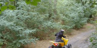 Informacja Nadleśnictwa Chojnów na temat quadów i crossów rozjeżdżających nasze lasy