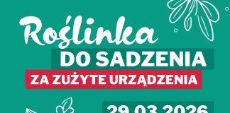 Oddaj elektrośmieci i odbierz sadzonkę podczas Kiermaszu Wielkanocnego w Piasecznie