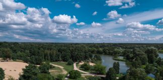 stawy, drzewa i wydma z drona