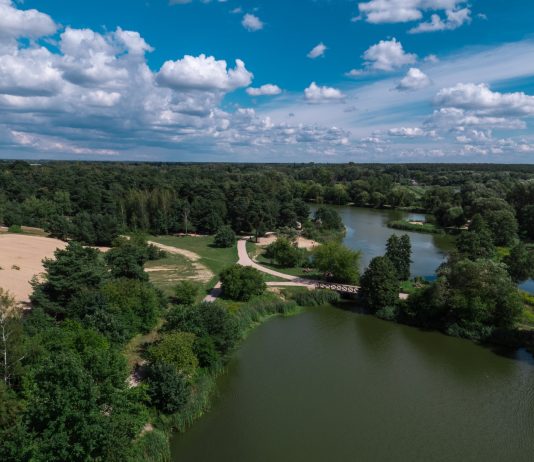 stawy, drzewa i wydma z drona