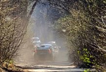 Czasowe zamknięcie Gościńca Wareckiego ze względu na ochronę płazów droga leśna i samochody