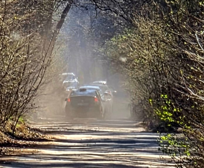droga leśna i samochody