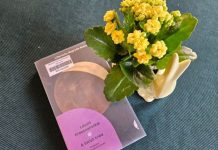 Hedonizm czytania – czytelniczy plan na kwiecień