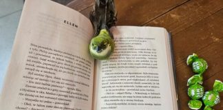 Magia lektury – kwiecień wśród książek