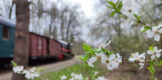 Poczuj wiosnę na torach wąskotorówki