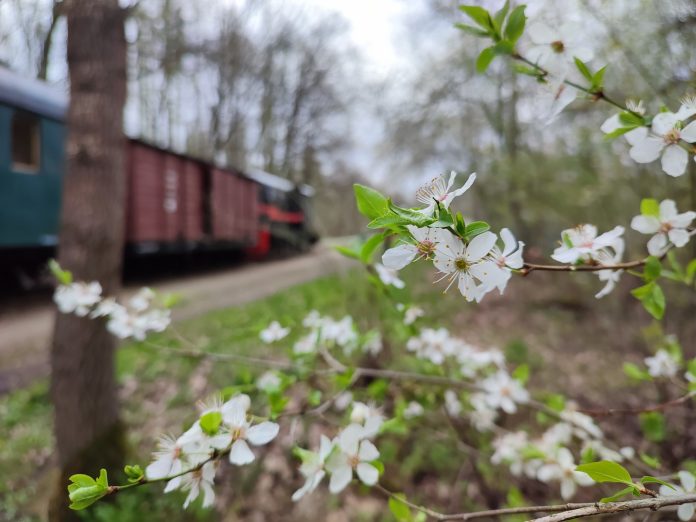 Poczuj wiosnę na torach wąskotorówki Poczuj wiosnę na torach wąskotorówki