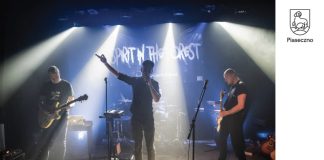 Spirit In The Forest to tribute band grupy Depeche Mode