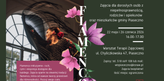 plakat warsztaty flamenco
