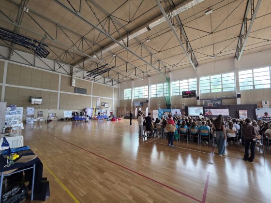 II Piaseczyński Festiwal Projekt&oacute;w Międzynarodowych