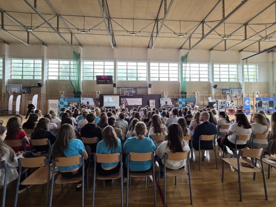 II Piaseczyński Festiwal Projekt&oacute;w Międzynarodowych
