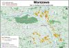 Geoankieta dotycząca lasów społecznych wokół Warszawy