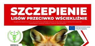 Szczepienie lisów przeciwko wściekliźnie wrzesień 2026
