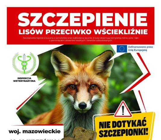 Szczepienie lisów przeciwko wściekliźnie wrzesień 2026