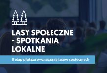Drugi etap pilotażu wyznaczania lasów społecznych! Zapisz się na spotkanie lokalne w Piasecznie