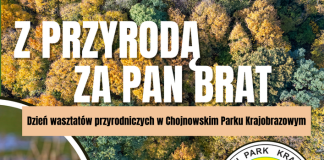 dzien-warsztatow-przyrodniczych-w-chojnowskim-parku-krajobrazowym