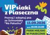VIPsiaki z Piaseczna! Poznaj i adoptuj psa ze schroniska Na Paluchu