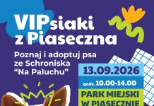 VIPsiaki z Piaseczna 2026! Poznaj i adoptuj psa ze Schroniska Na Paluchu VIPsiaki z Piaseczna! Poznaj i adoptuj psa ze schroniska Na Paluchu