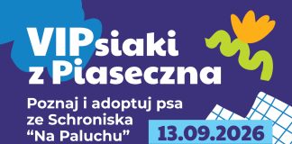 VIPsiaki z Piaseczna! Poznaj i adoptuj psa ze schroniska Na Paluchu