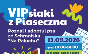 VIPsiaki z Piaseczna! Poznaj i adoptuj psa ze schroniska Na Paluchu