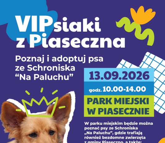 VIPsiaki z Piaseczna! Poznaj i adoptuj psa ze schroniska Na Paluchu