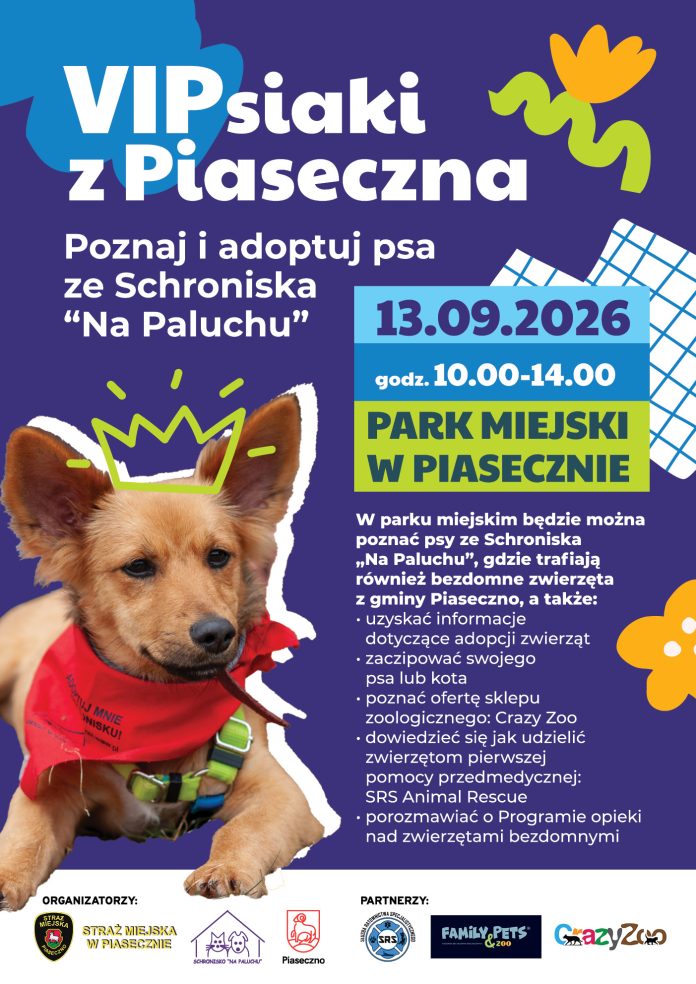 VIPsiaki z Piaseczna! Poznaj i adoptuj psa ze schroniska Na Paluchu