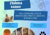 Zbiórka karmy dla podopiecznych przytuliska przy ul. Rejtana w Piasecznie
