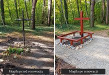 Renowacja historycznej mogiły w Zalesiu Dolnym leśne groby