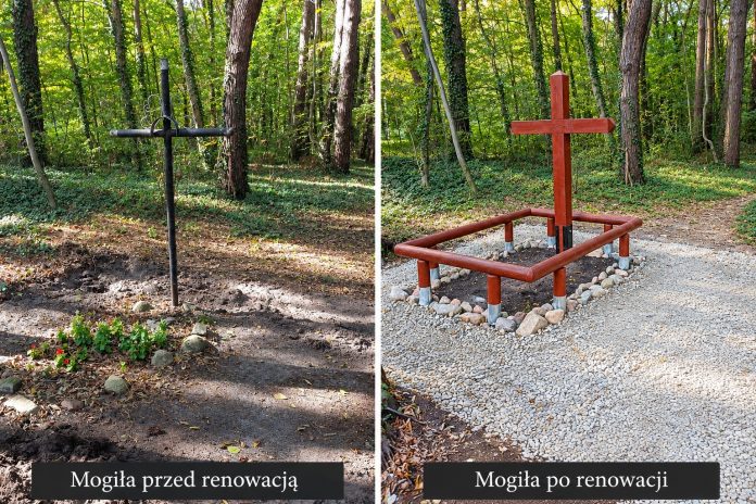 Mogiła przed i po renowacji leśne groby