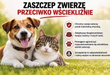 Wścieklizna. Dlaczego warto pamiętać o szczepieniach? grafika z psem i kotem